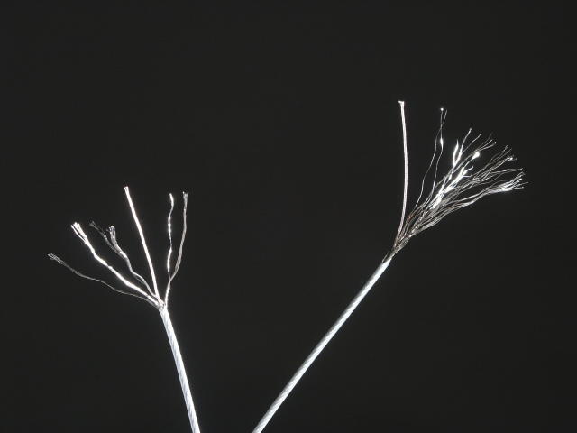 ���⣺�����˿ �Ķ�������1461