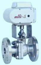 ���⣺�綯�� �Ķ�������2416